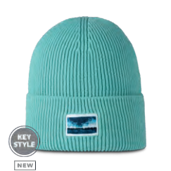 BUFF® KNITTED BEANIE DRISK PARLEY POOL (Outleisure)